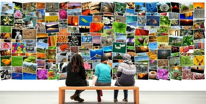 Acceder a la galería de imagenes